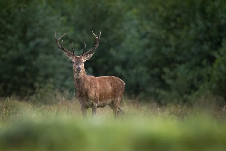 Restaurace Rendlík | Místo | 2